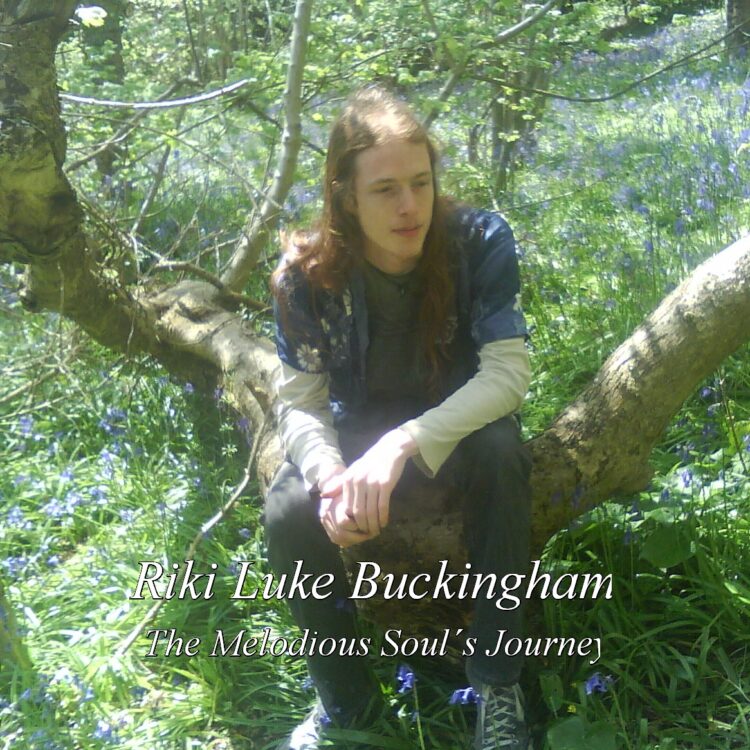 The Melodious Soul’s Journey (2011)